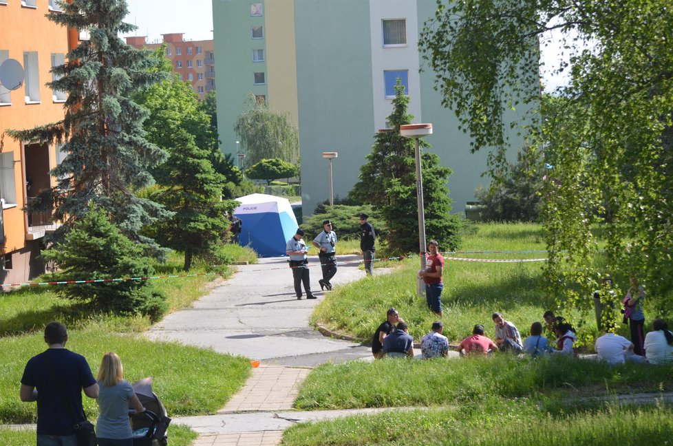 Muž v Chomutově najížděl v noci do lidí, soused ho zastřelil