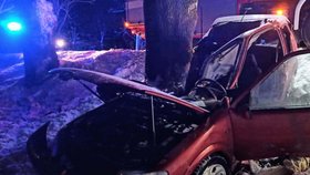 Tragická nehoda na Chomutovsku: Řidič (†25) zemřel po nárazu do stromu, spolujezdec (17) skončil v nemocnici.