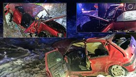 Tragická nehoda na Chomutovsku: Řidič (†25) zemřel po nárazu do stromu, spolujezdec (17) skončil v nemocnici.
