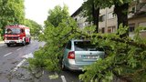 Silné bouřky zasáhly Chorvatsko a Slovinsko! Nejméně 6 mrtvých, padající stromy a poničená auta