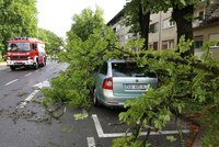 Silné bouřky zasáhly Chorvatsko a Slovinsko! Nejméně 6 mrtvých, padající stromy a poničená auta