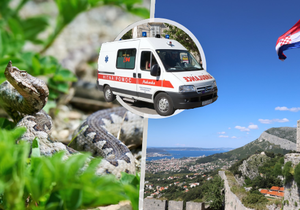 V Chorvatsku bojují s přemnoženými hady. Nemocnice v Dalmácii evidují již 4 případy uštknutí.
