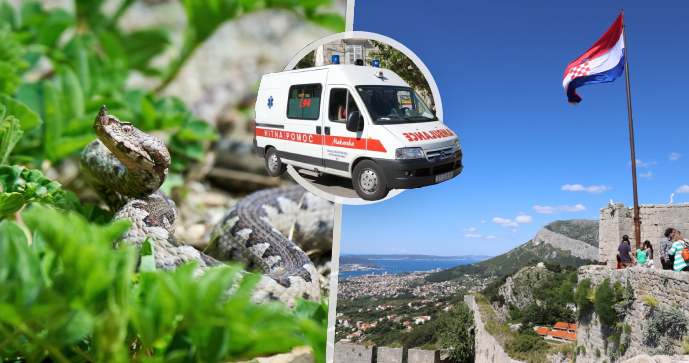 Chorvatsko bojuje s přemnoženými hady: Čtyři lidé skončili v nemocnici po kousnutí jedovatou zmijí!