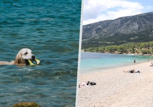 Další problémy v dovolenkovém ráji Čechů: Za psa na pláži zaplatíte tisíce!