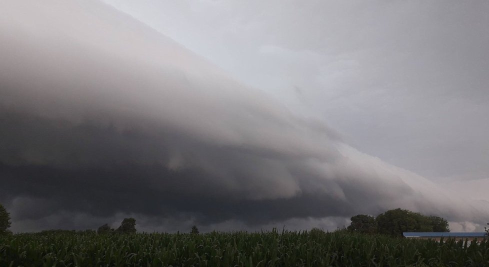 V Chorvatsku udeřily silné bouřky. Stromy a kroupy poškodily auta a budovy, záplavy ničily úrodu zemědělcům.