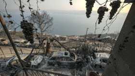 Následky požáru v chorvatském Omiši (srpen 2026)