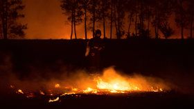 Hasiči uhašují lesní požár vedle obce Bribir.