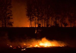 Hasiči uhašují lesní požár vedle obce Bribir.