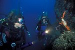 Netradiční Chorvatsko: Za poloviční cenu můžete získat doživotně platný potápěčský průkaz