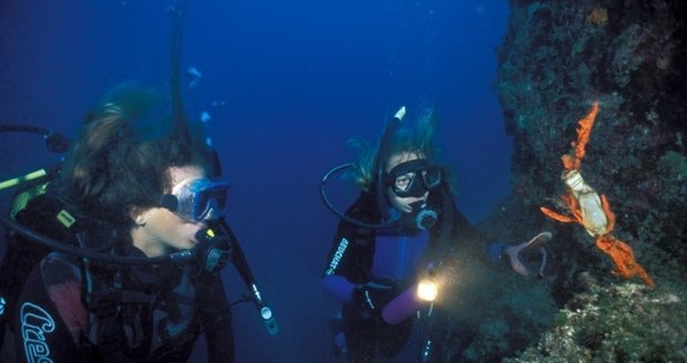 Netradiční Chorvatsko: Za poloviční cenu můžete získat doživotně platný potápěčský průkaz