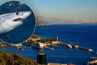 Žralok u pobřeží Chorvatska! Záběry vyděsily české turisty