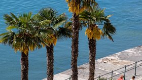 Chorvatsko bude v červenci lákat turisty na pláže tropickými teplotami