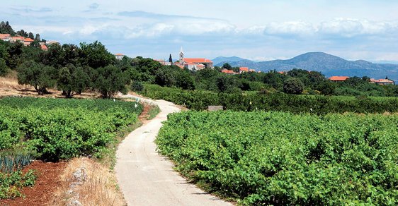 Chorvatský poloostrov Pelješac: Tunelem za vínem