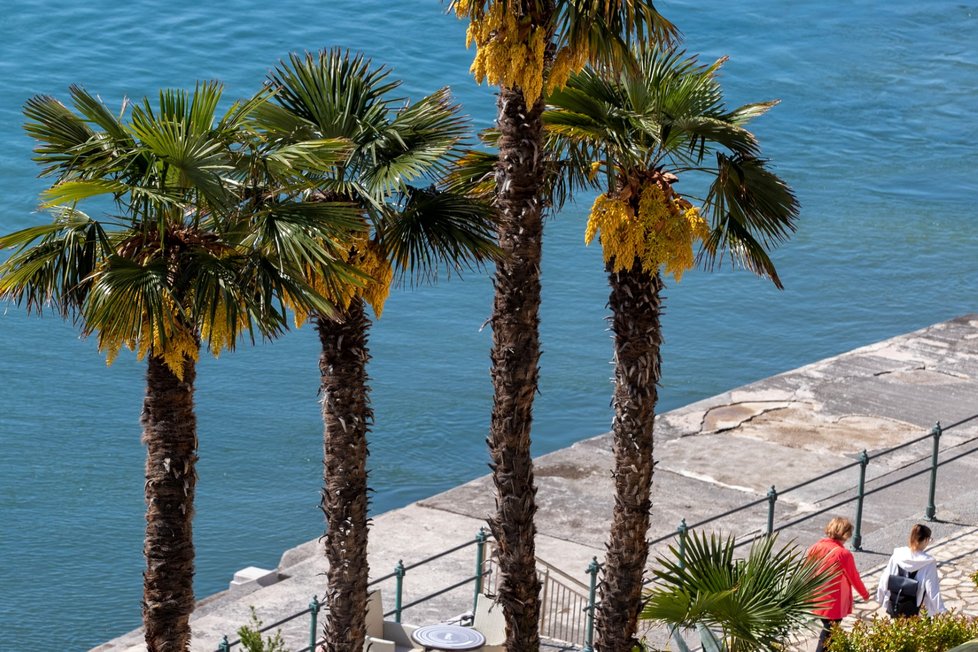 Chorvatsko bude v červenci lákat turisty na pláže tropickými teplotami.