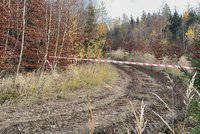 Tragédie na Hodonínsku: Muže při kácení v lese zavalil strom