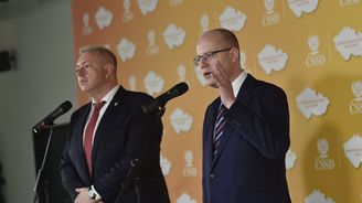 Sociální demokracie loni hospodařila s obrovskou ztrátou