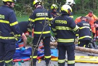 Padající strom v Chrásti zabil manželský pár: Muž zemřel na místě, žena v nemocnici