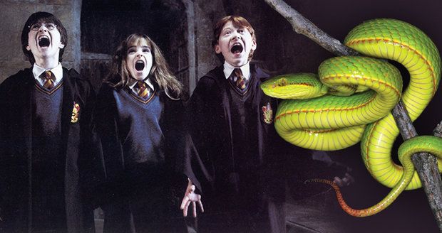 Vědci se smyslem pro humor? Nový druh chřestýše pojmenovali po postavě z Harryho Pottera.