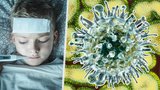 Česko pod náporem chřipky: Nemocných přibývá hlavně mezi školními dětmi