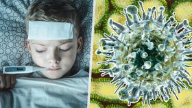Epidemie chřipky v Česku slábne. Po Novém roce nemocných přibude, varují hygienici