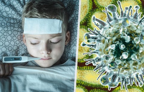 Zákaz návštěv! Nemocnice na jihu Moravy zavírají kvůli epidemii chřipky