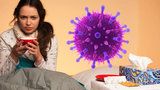 Chřipková epidemie na jižní Moravě začala: Nejvíce nemocných je na Blanensku a Hodonínsku