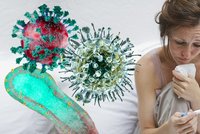 Ani chřipka, ani covid: Ve světě lidé bojují s neznámým virem. Objevil se už i v Česku?