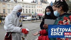 Chřipka během pandemie skoro zmizela: Vrátí se za rok v mnohem větší síle?