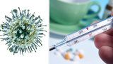 Chřipka kosí Pražany: Za týden stoupl počet nemocných o třetinu
