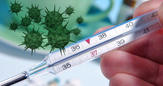 Virus chřipky