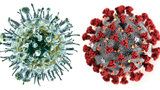 Letošní chřipka bude agresivnější: Strach ze souběhu epidemií! Jak poznat, co vám je?