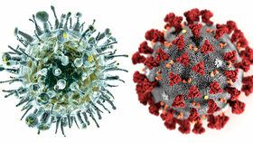 Vir chřipky a vir koronaviru (ilustrační foto)