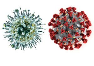 Vir chřipky a vir koronaviru