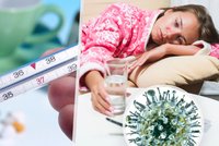 Dovolenkář podlehl chřipce podobné ebole. Lassa je zatím jen v Africe, dostane se i dál?