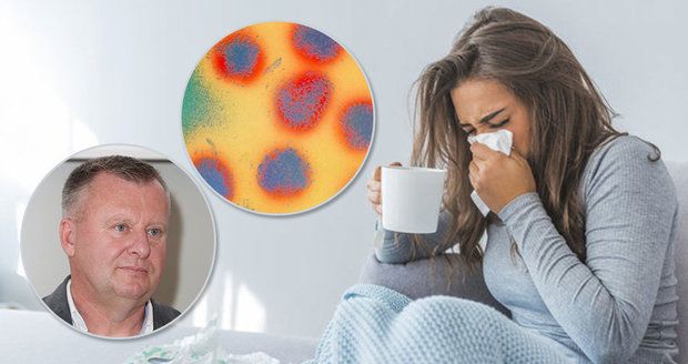 Jak poznat chřipku od nachlazení: Lékař popsal rozdíly. Horký čaj nedoporučuje