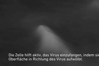 Unikátní záběry vědců poprvé odhalily: Toto je okamžik, kdy dostanete chřipku!