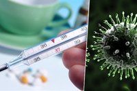 Česká nás nejhorší chřipková epidemie za poslední roky? Epidemiolog prozradil, čeho se obává