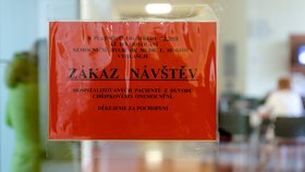Kvůli chřipce platí v řadě českých nemocnic zákaz návštěv