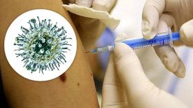Vakcíny proti chřipce došly, hlásí praktici
