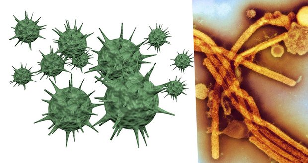 Zánět srdce i mozku: Chřipka může přinést fatální komplikace. Jak se bránit?