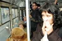 Chřipka má letos v Evropě „nabito“, varují lékaři. Rozhodnou příští dva týdny