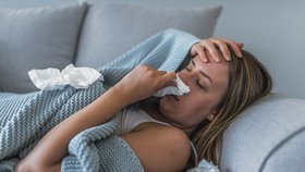 Chřipka se tento rok vyskytuje ojediněle, jasněji o případné epidemii bude za dva týdny (ilustrační foto).