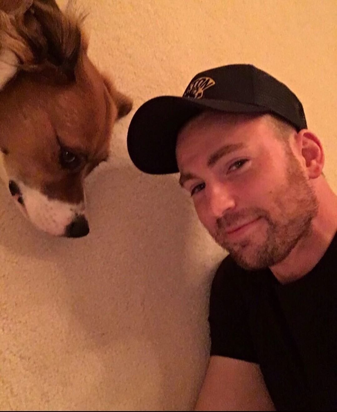 Chris Evan a jeho pes
