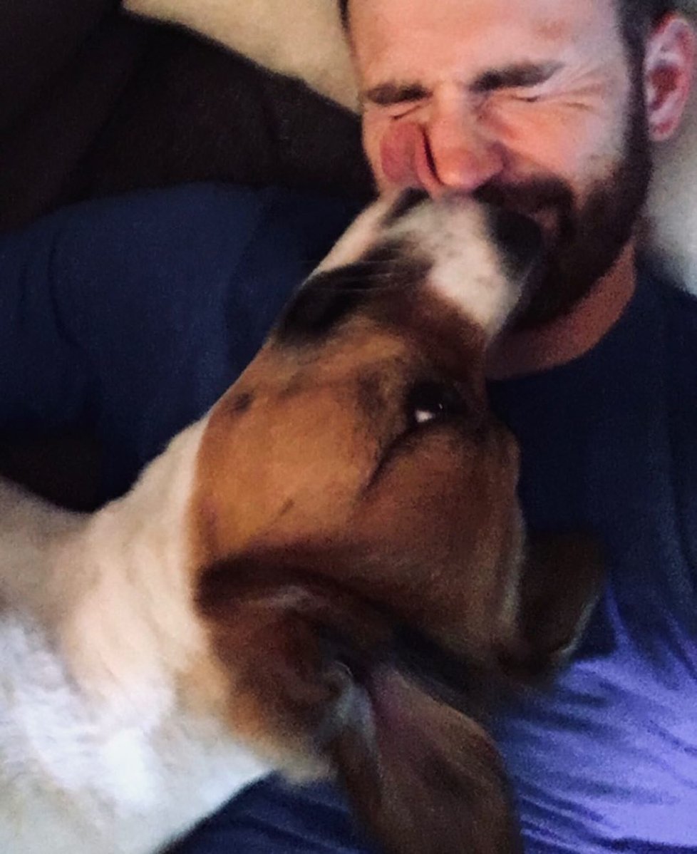 Chris Evans a jeho pes