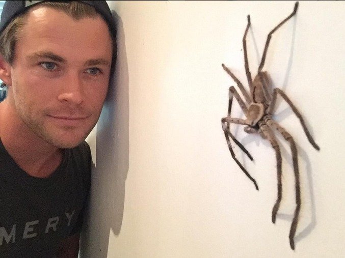 Chris Hemsworth se svým nový kamarádem!