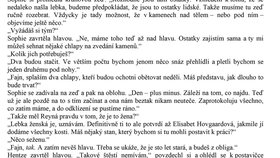 Oheň na pláži: Faerský policista Hjalti Hentze se domnívá, že má poprvé po dlouhé době na stole jasný případ: požár opuštěné farmy. Jenže pak jsou na pozemcích objeveny čtyřicet let staré ostatky mladé ženy...