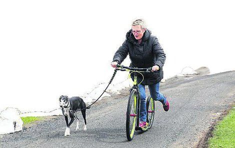 Marcela Císařová si při psím tréninku upevňuje i svoji fyzičku.