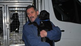 V České republice našlo svůj domov díky akci Chrti v nouzi již 211 psů
