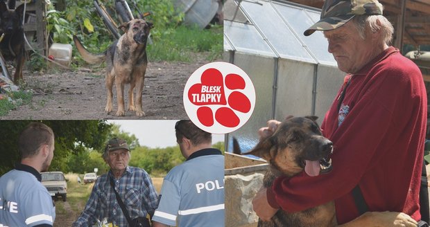 Smečka zdivočelých ovčáků napadla i starostu. Podivín se odebrání psů brání