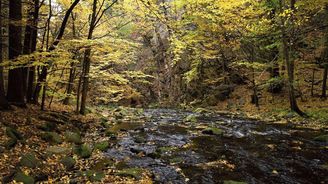 Přírodní rezervace Krkanka: V údolí řeky Chrudimky se budete cítit jako v románu od Jacka Londona